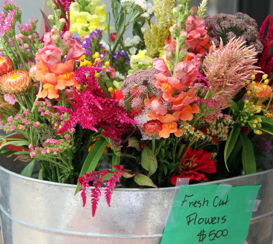 Fresh Cut Flower Bouquets